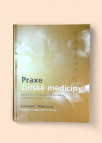 Praxe čínské medicíny