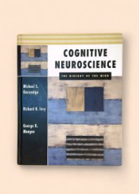 Cognitive Neuroscience
