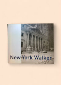 New York walker in blizzard