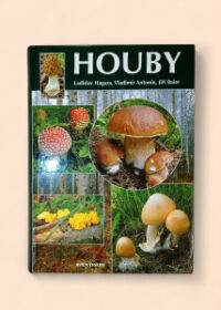 Houby