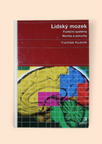 Lidský mozek