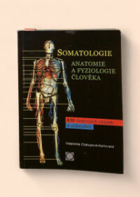 Somatologie