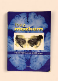 Řezy mozkem