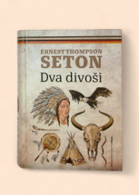 Dva divoši