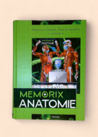 Memorix anatomie