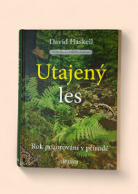 Utajený les