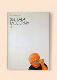 Selhala moderna?