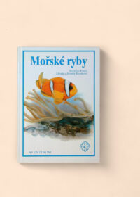 Mořské ryby