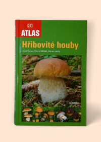 Hřibovité houby