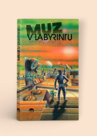Muž v labyrintu