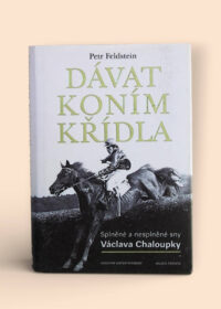 Dávat koním křídla