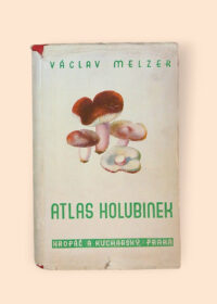 Atlas holubinek