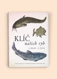 Klíč našich ryb
