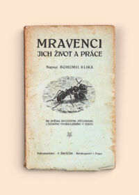 Mravenci, jich život a práce
