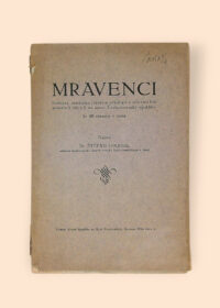 Mravenci