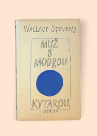 Muž s modrou kytarou