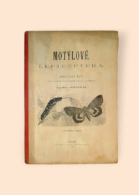 Motýlové