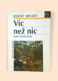 Víc než nic - Logika lidského osudu