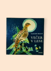 Večer v lese