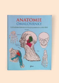 Anatomie - Omalovánky