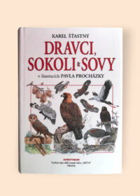 Dravci, sokoli & sovy