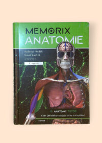 Memorix anatomie