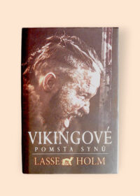 Vikingové: Pomsta synů